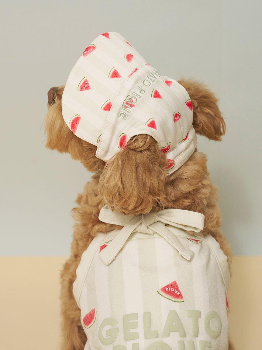  GELATO PIQUE CAT&DOG「【CAT&DOG】ソフトサンバイザー」|その他|