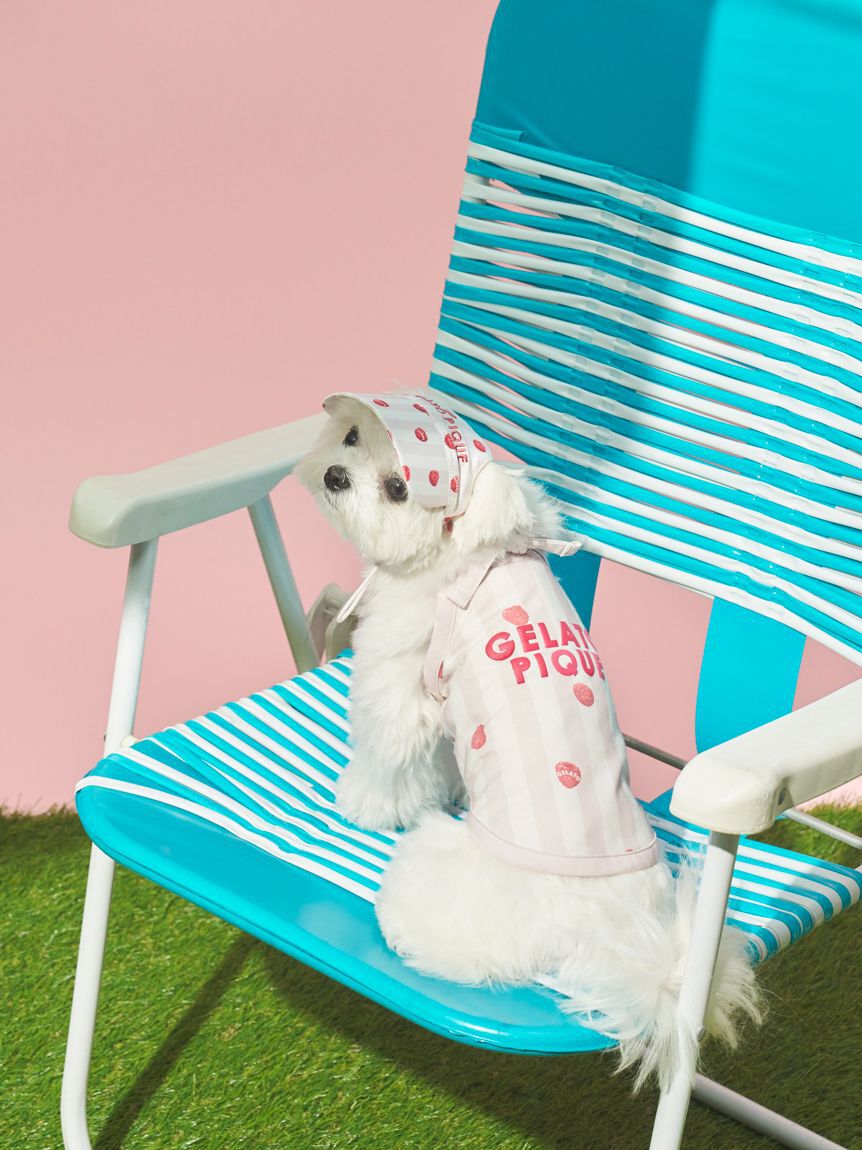  GELATO PIQUE CAT&DOG「【CAT&DOG】ソフトサンバイザー」|その他|
