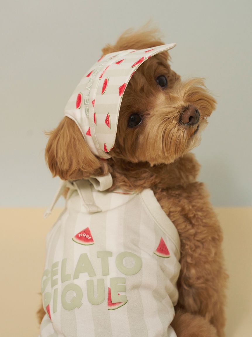  GELATO PIQUE CAT&DOG「【CAT&DOG】ソフトサンバイザー」|その他|
