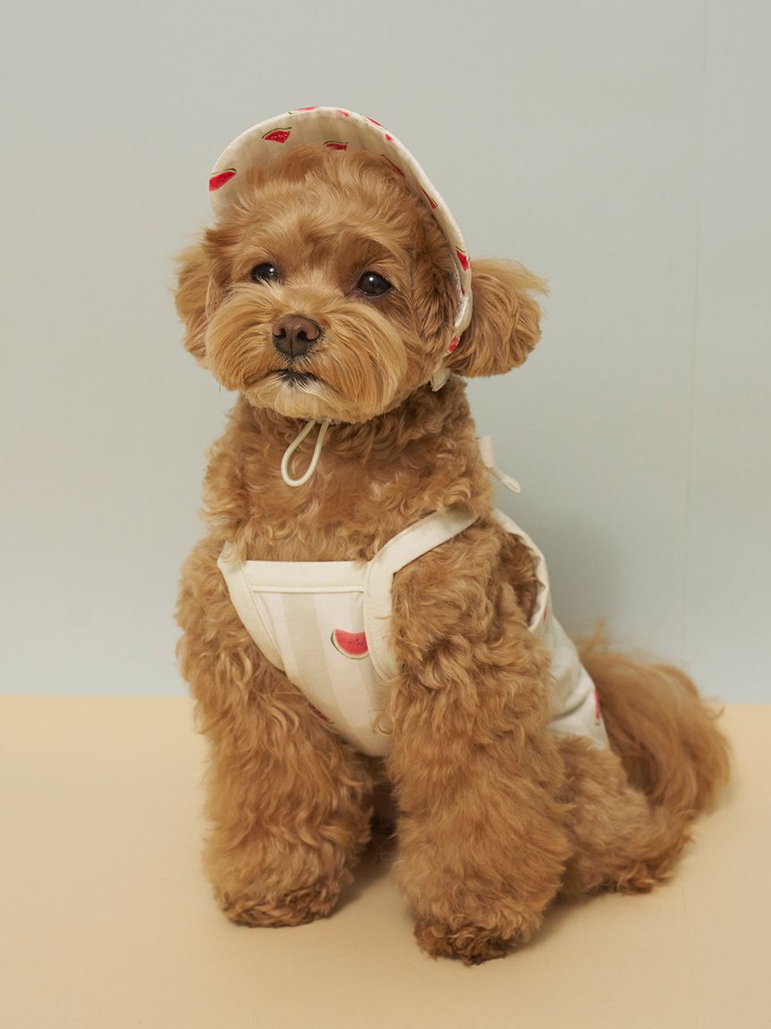  GELATO PIQUE CAT&DOG「【CAT&DOG】ソフトサンバイザー」|その他|