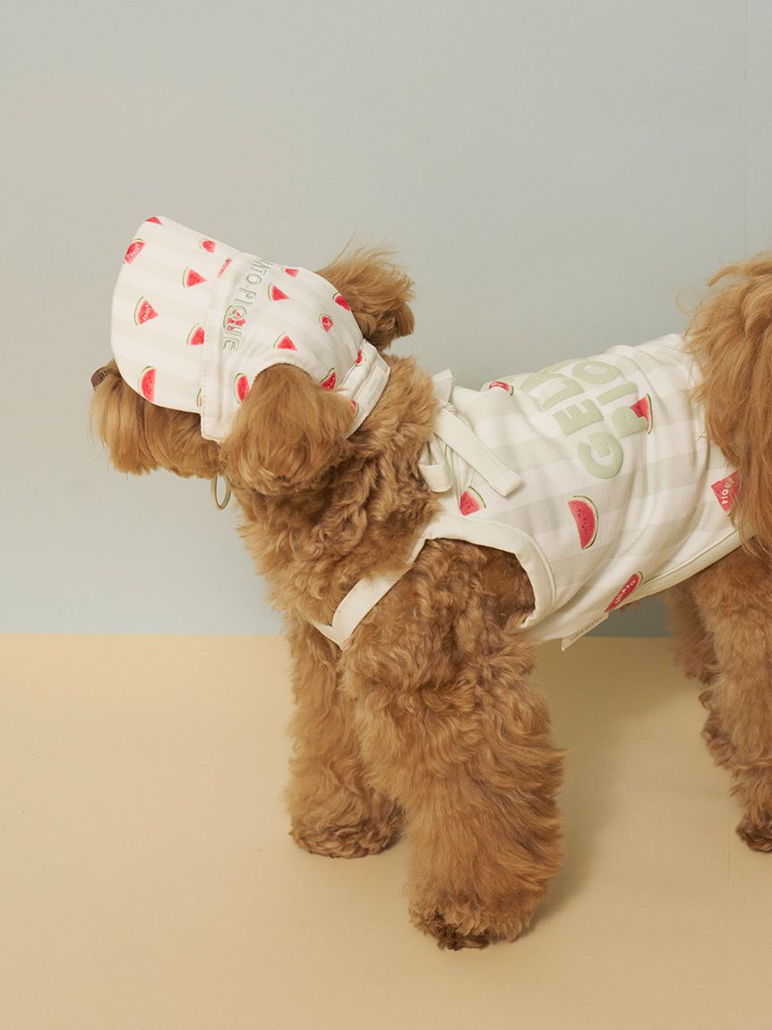  GELATO PIQUE CAT&DOG「【CAT&DOG】ソフトサンバイザー」|その他|