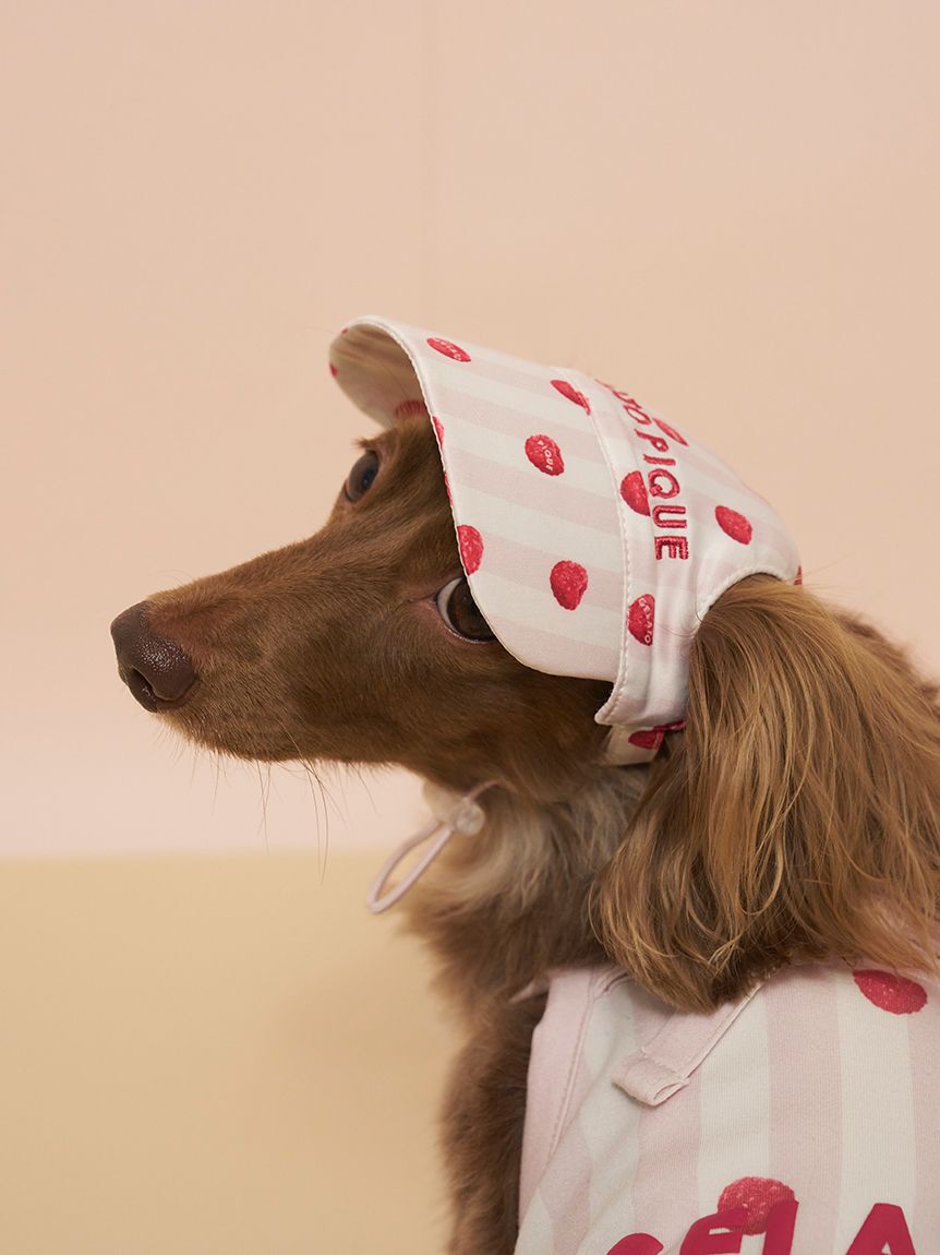  GELATO PIQUE CAT&DOG「【CAT&DOG】ソフトサンバイザー」|その他|
