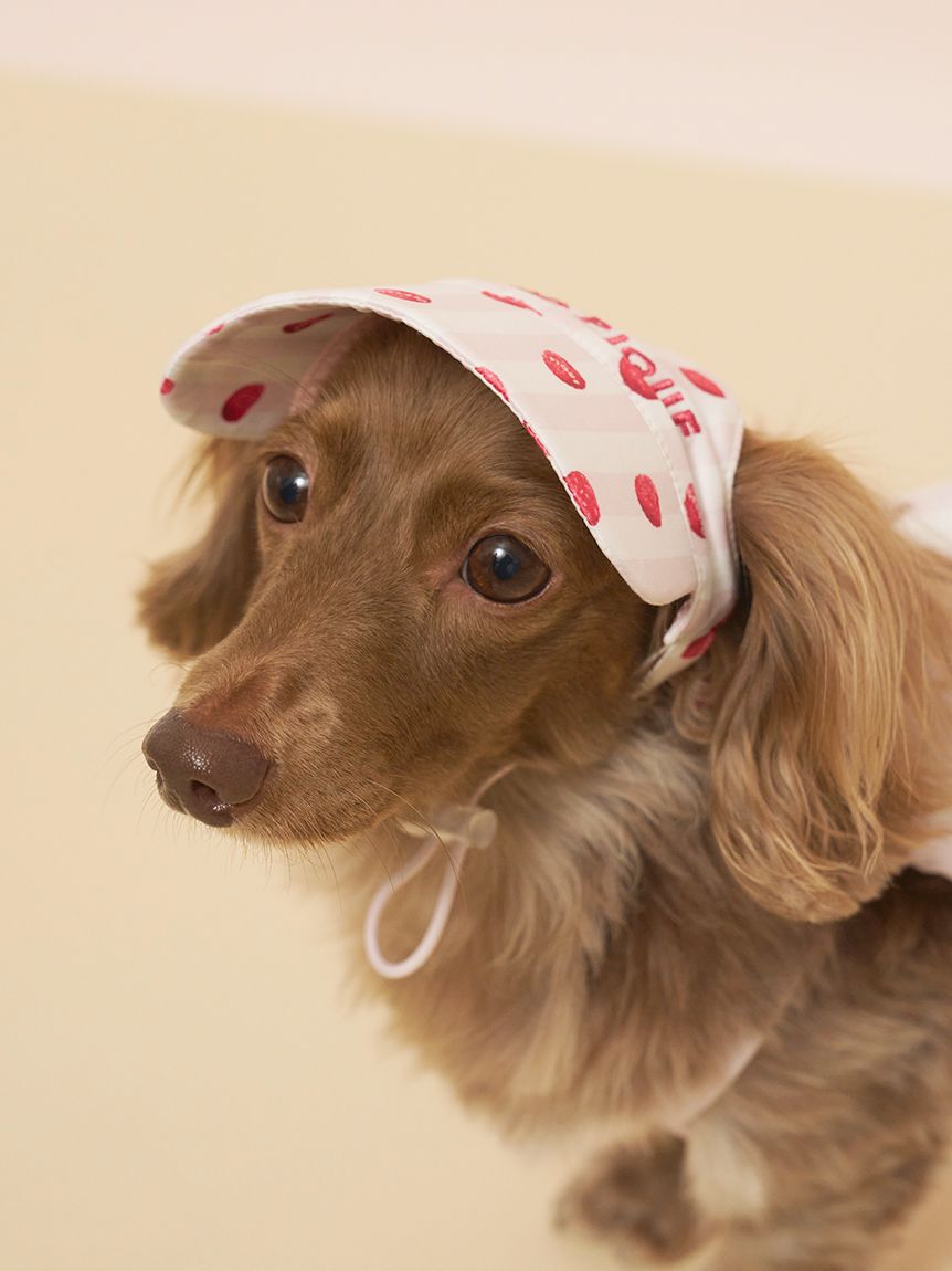  GELATO PIQUE CAT&DOG「【CAT&DOG】ソフトサンバイザー」|その他|