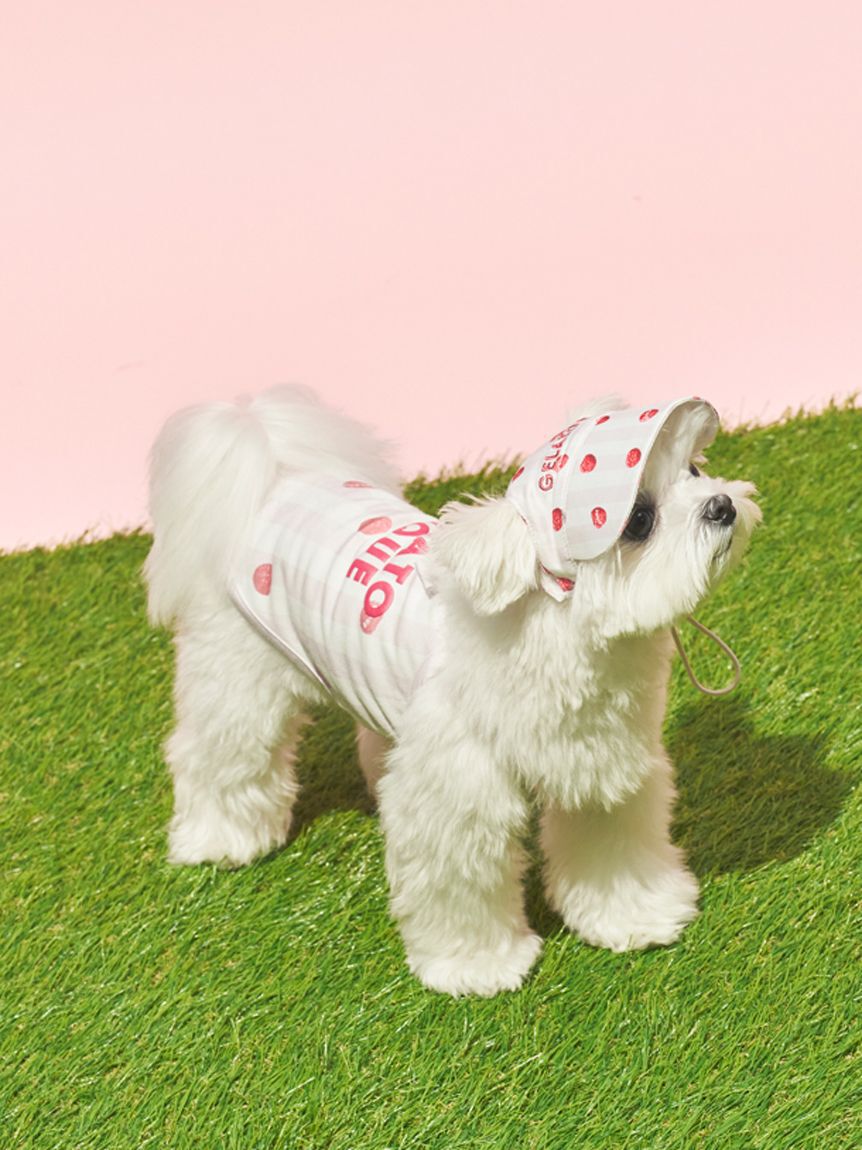 GELATO PIQUE CAT&DOG「【CAT&DOG】ソフトサンバイザー」|その他|PNK