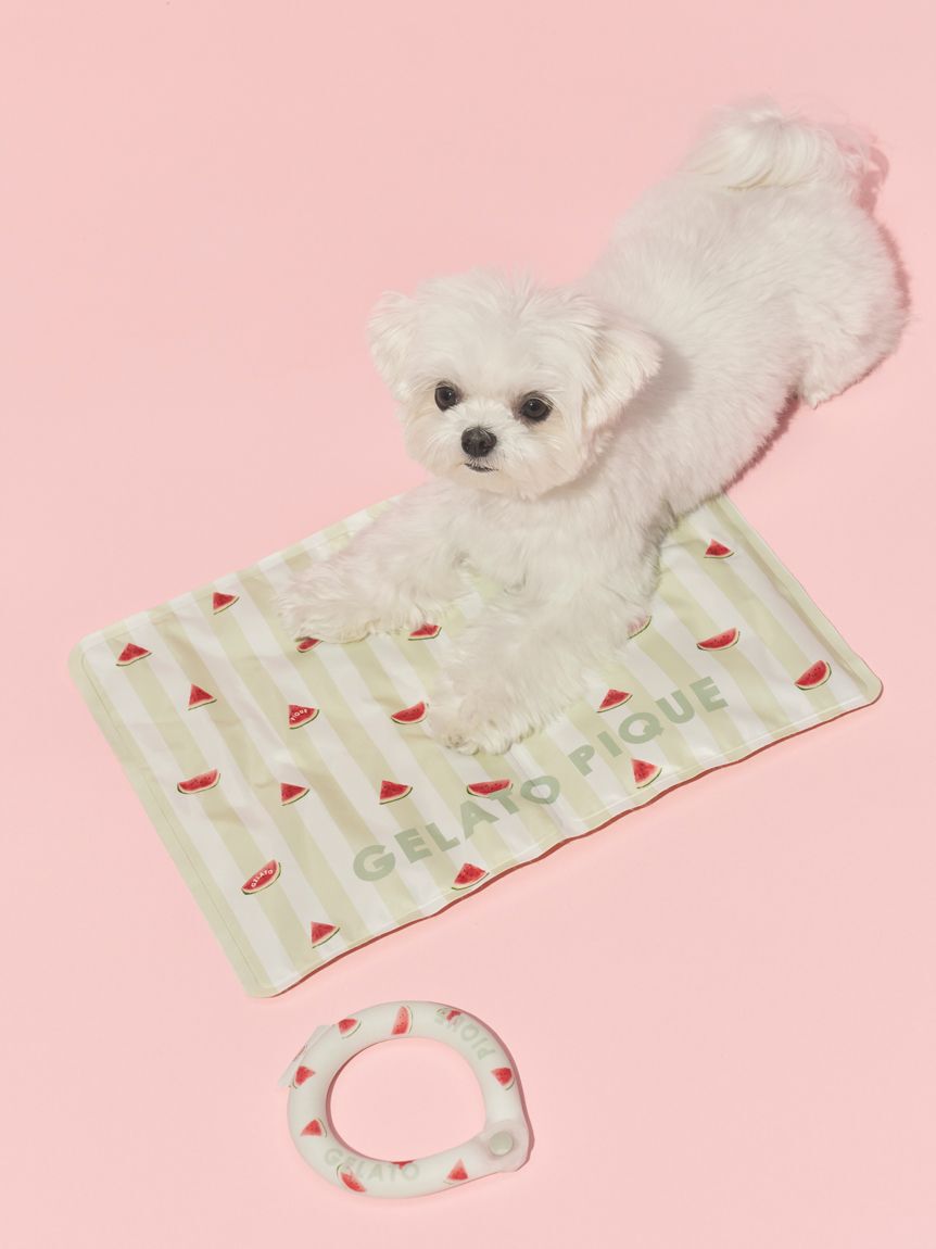  GELATO PIQUE CAT&DOG「【CAT&DOG】サマーモチーフ柄Coolingジェルマット」|その他|GRN