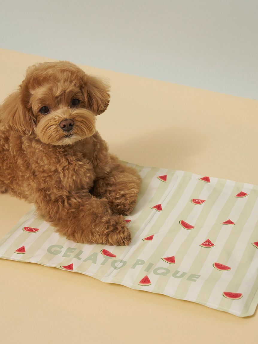  GELATO PIQUE CAT&DOG「【CAT&DOG】サマーモチーフ柄Coolingジェルマット」|その他|