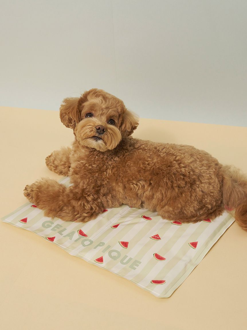  GELATO PIQUE CAT&DOG「【CAT&DOG】サマーモチーフ柄Coolingジェルマット」|その他|