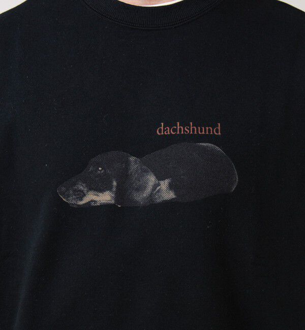 GLOSTER「【MY PET】クルーネックプリントスウェット」|スウェット・ジャージ|