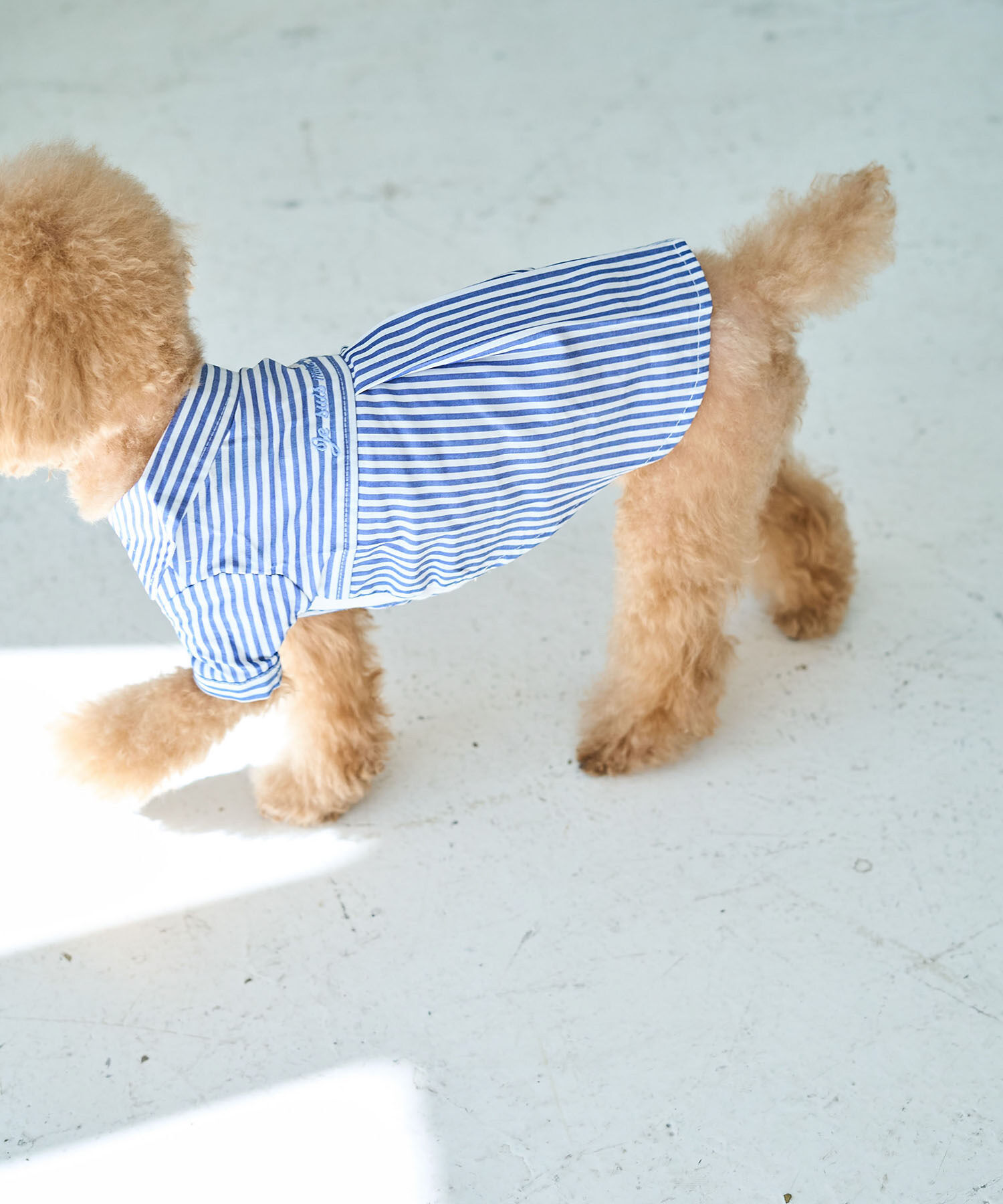 ROPE PICNIC PASSAGE「【DOG】刺繍ロゴ入りストライプシャツ」|その他|ブルー(44)