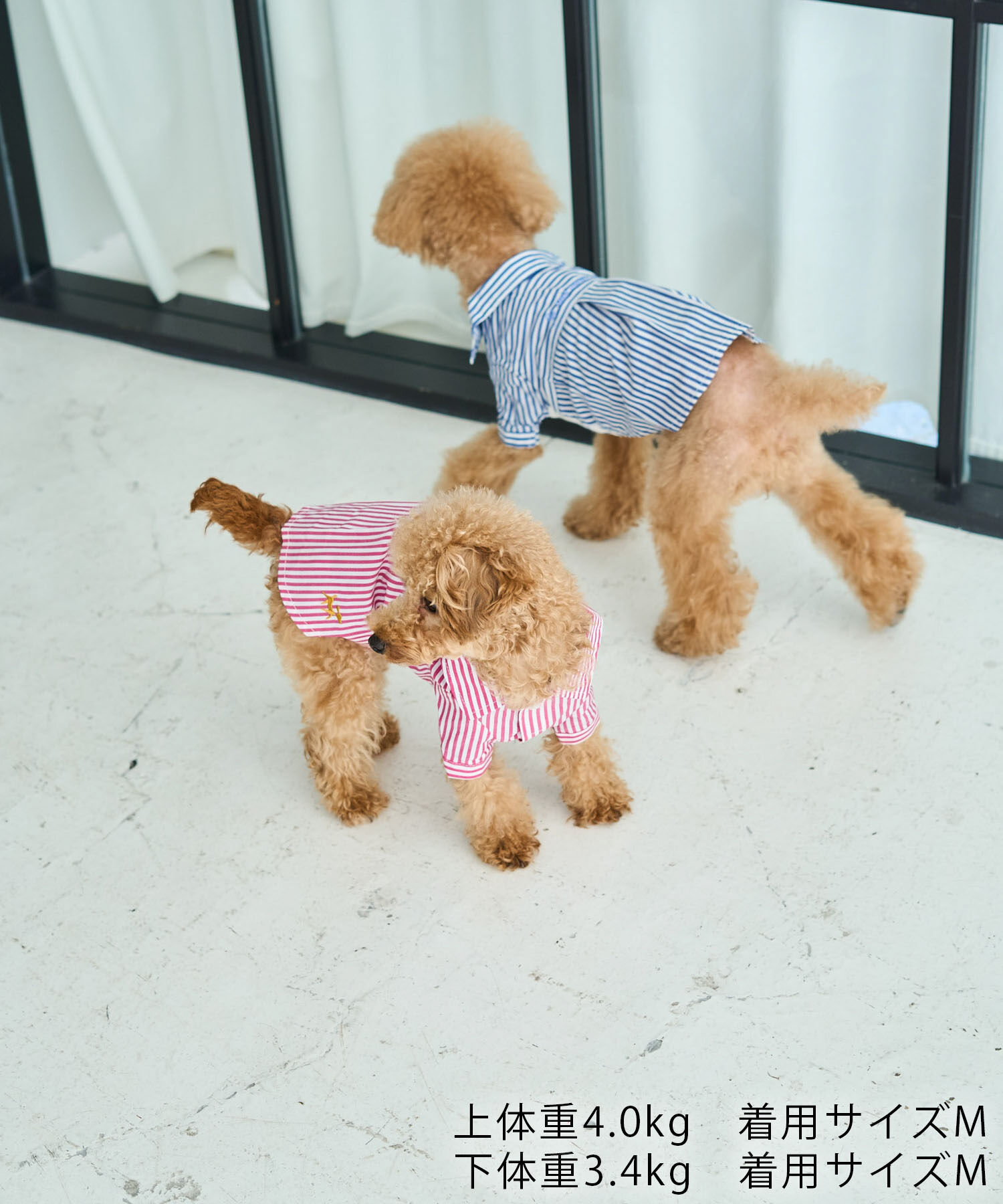 ROPE PICNIC PASSAGE「【DOG】刺繍ロゴ入りストライプシャツ」|その他|