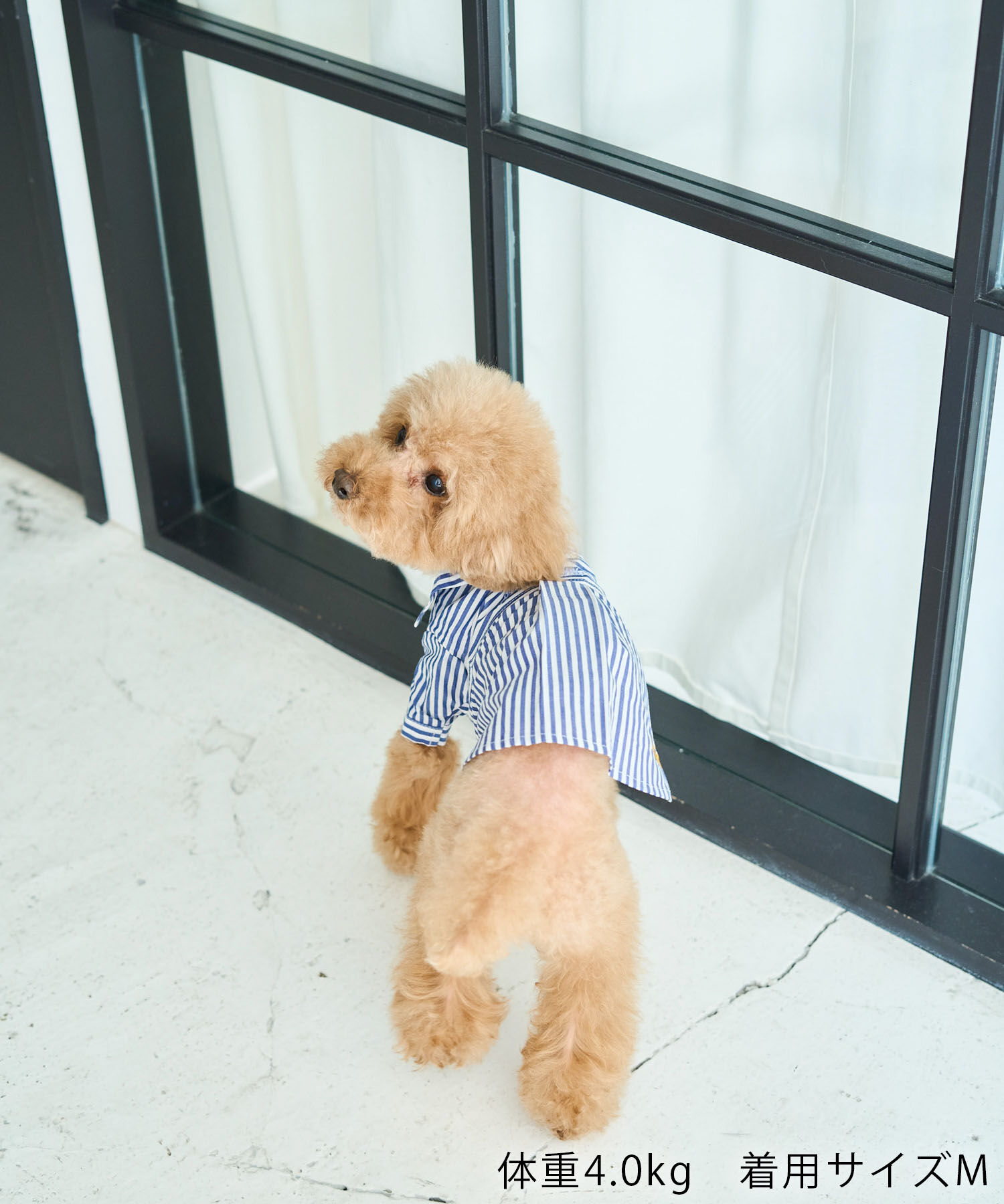 ROPE PICNIC PASSAGE「【DOG】刺繍ロゴ入りストライプシャツ」|その他|