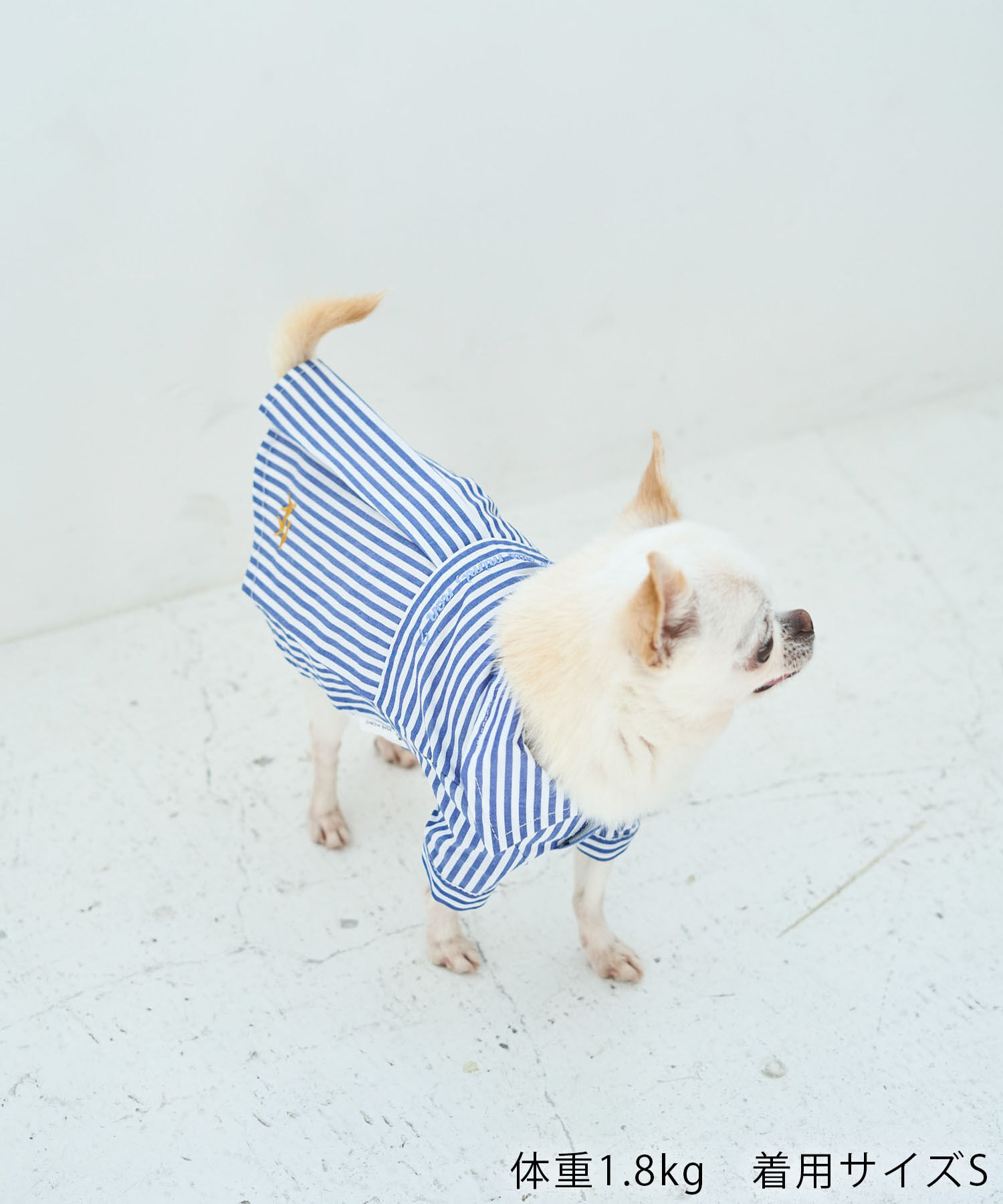 ROPE PICNIC PASSAGE「【DOG】刺繍ロゴ入りストライプシャツ」|その他|