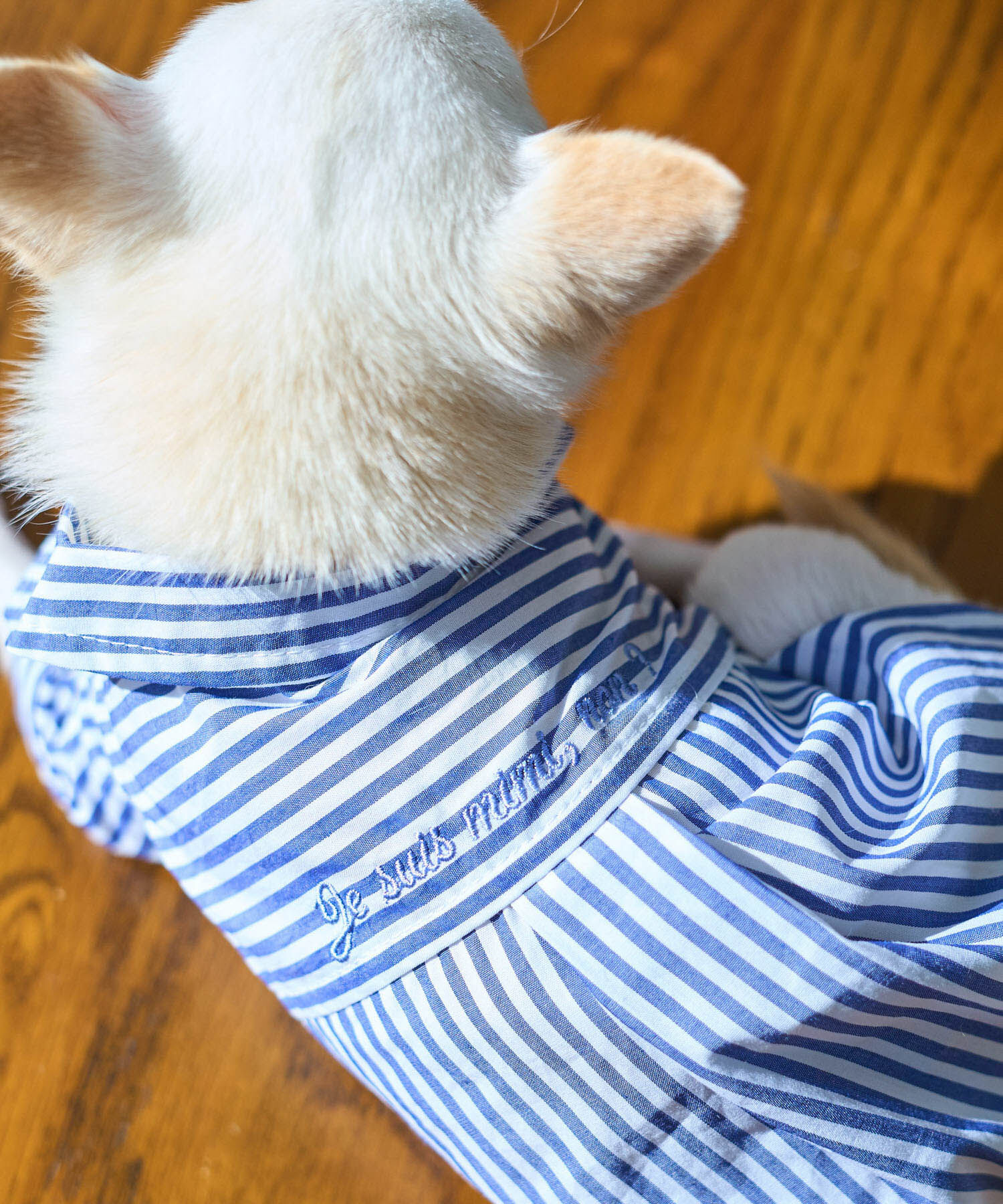 ROPE PICNIC PASSAGE「【DOG】刺繍ロゴ入りストライプシャツ」|その他|