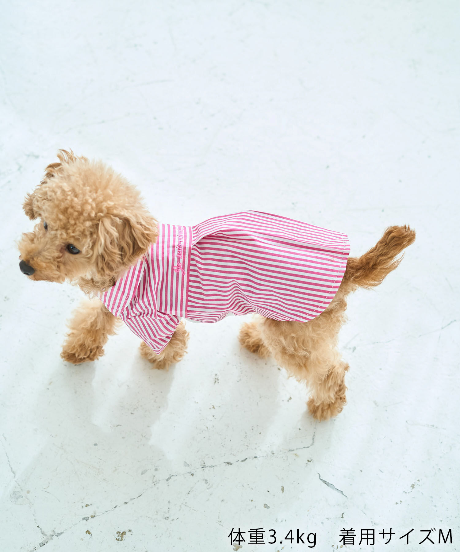 ROPE PICNIC PASSAGE「【DOG】刺繍ロゴ入りストライプシャツ」|その他|