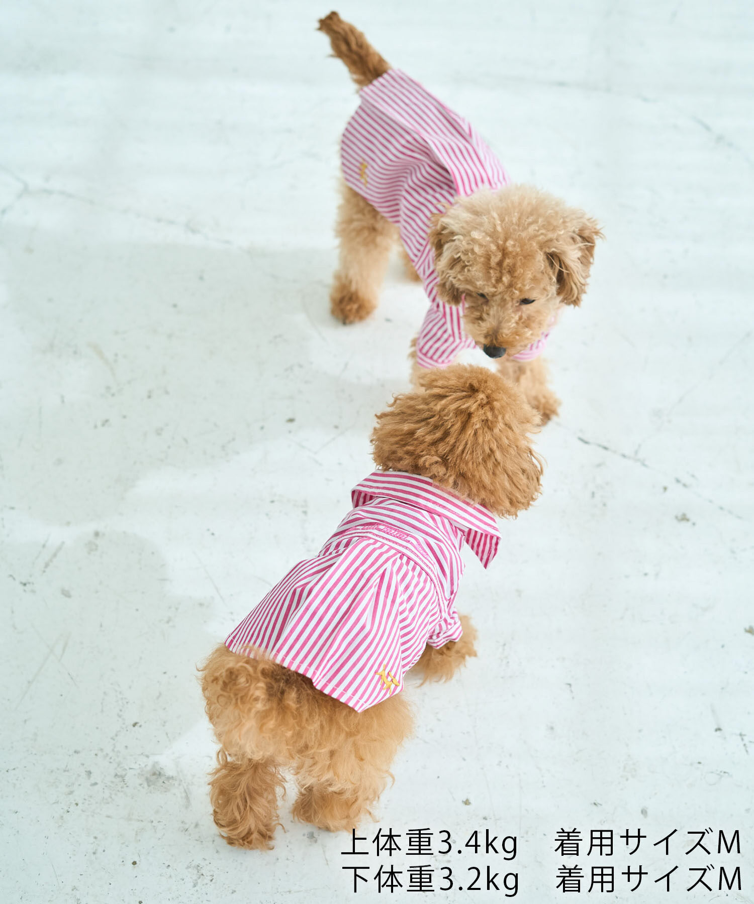 ROPE PICNIC PASSAGE「【DOG】刺繍ロゴ入りストライプシャツ」|その他|