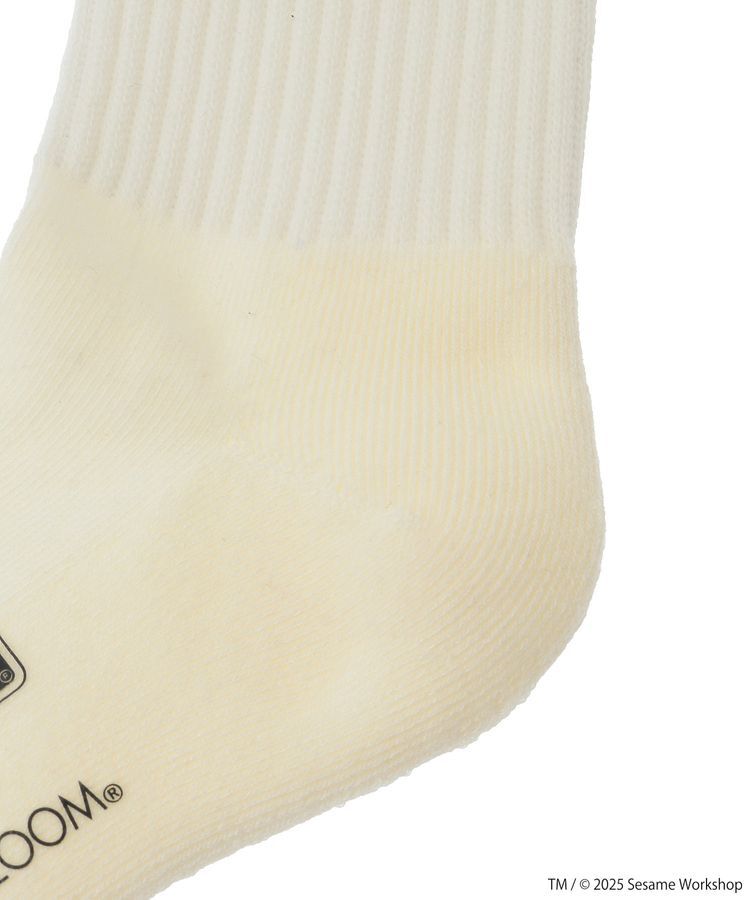 Green Parks「セサミストリートミーツオブザルーム ソックス」|その他|