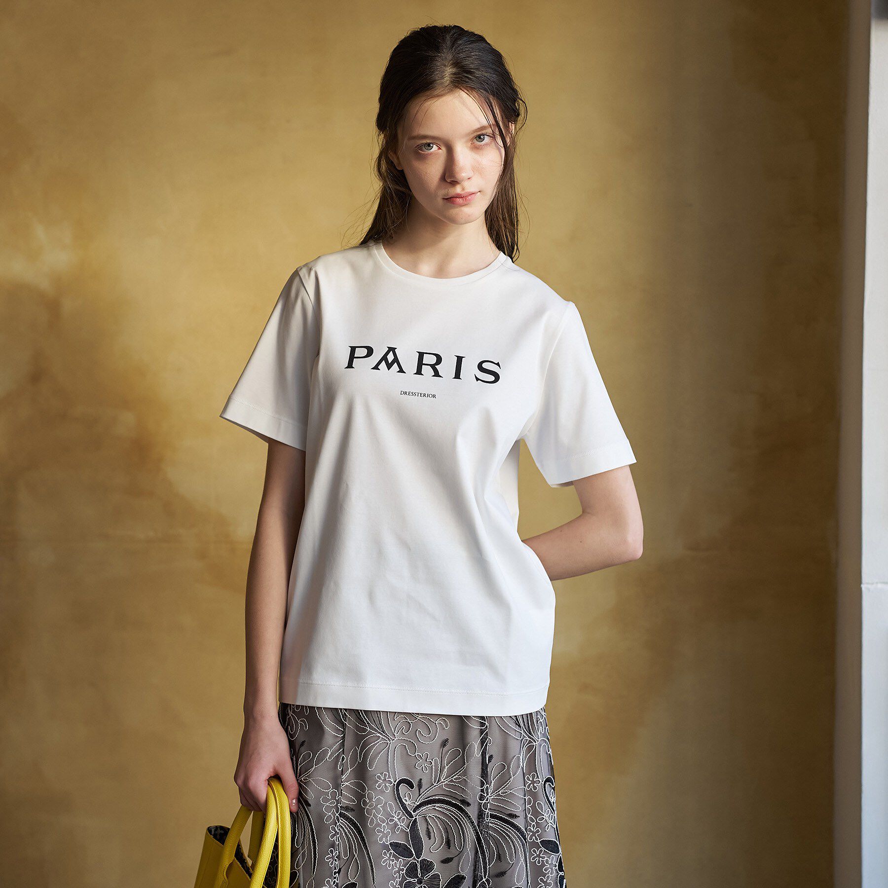 DRESSTERIOR「【接触冷感／抗菌防臭／消臭】アイスクリアコットン PARIS Tシャツ」|Tシャツ・カットソー|