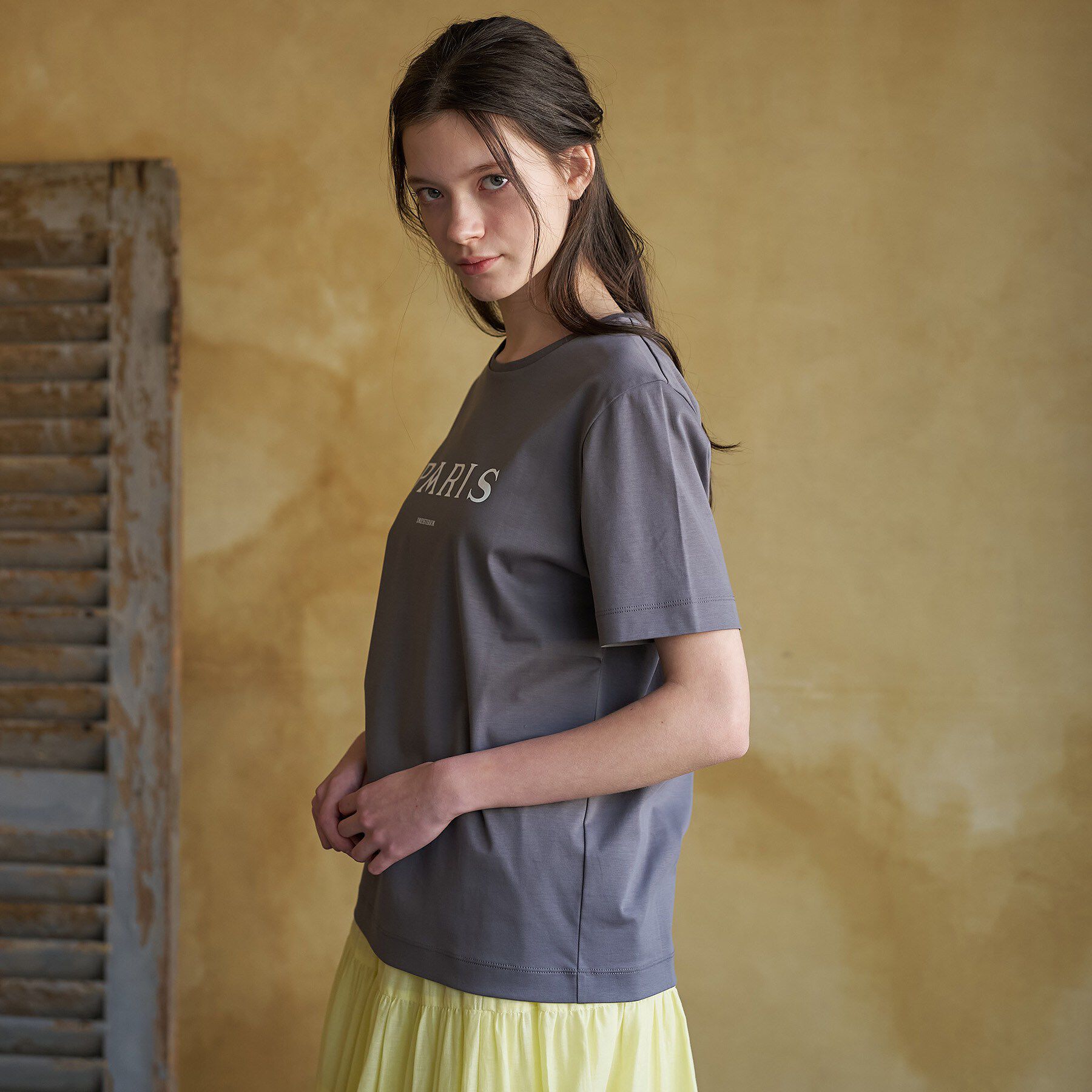 DRESSTERIOR「【接触冷感／抗菌防臭／消臭】アイスクリアコットン PARIS Tシャツ」|Tシャツ・カットソー|