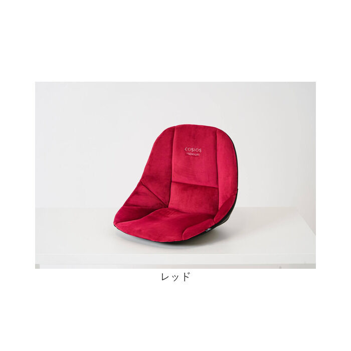 BACKYARD FAMILY「骨盤サポート チェア 姿勢矯正 通販 cosios Premium コシオスプレミアム」|その他|