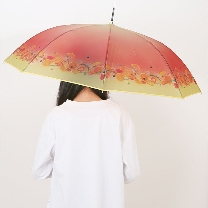 BACKYARD FAMILY「because ビニール傘 ビコーズ B-552762 通販 長傘 ジャンプ傘 傘 雨傘 かさ」|傘|