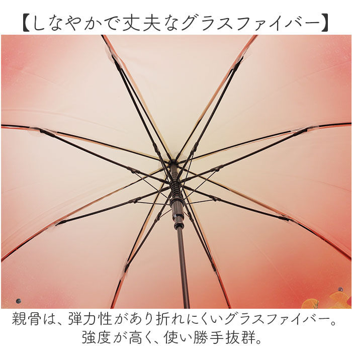 BACKYARD FAMILY「because ビニール傘 ビコーズ B-552762 通販 長傘 ジャンプ傘 傘 雨傘 かさ」|傘|