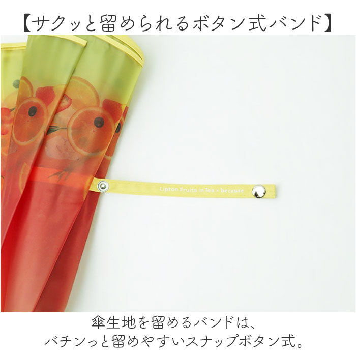 BACKYARD FAMILY「because ビニール傘 ビコーズ B-552762 通販 長傘 ジャンプ傘 傘 雨傘 かさ」|傘|