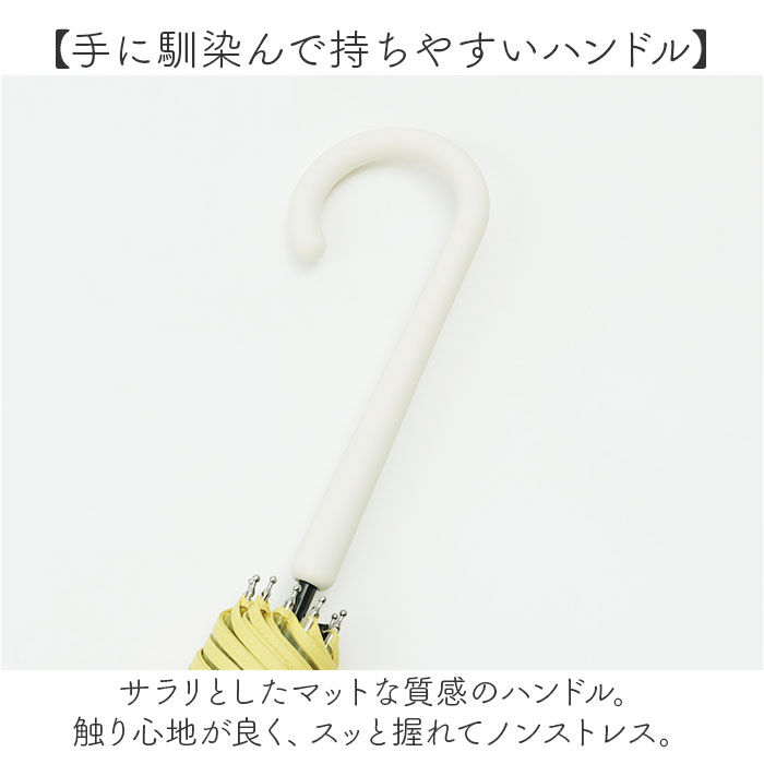 BACKYARD FAMILY「because ビニール傘 ビコーズ B-552762 通販 長傘 ジャンプ傘 傘 雨傘 かさ」|傘|