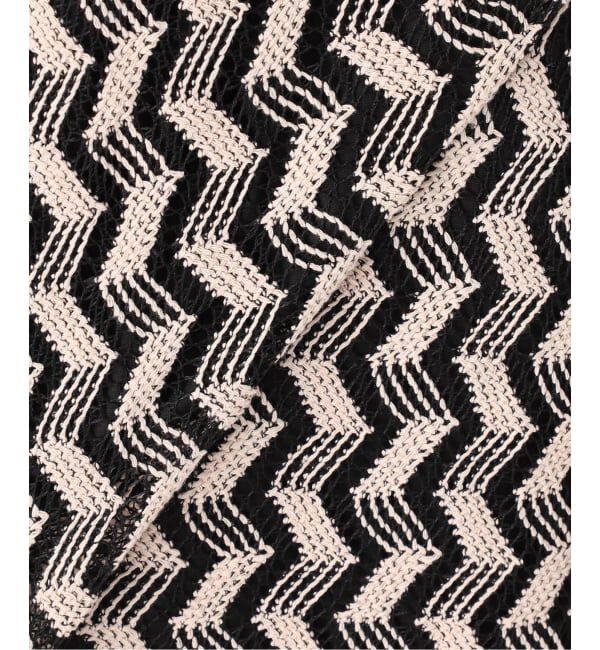 JOURNAL STANDARD relume「《WEB限定追加予約》【TORRAZZO DONNA/トラッゾドンナ】ジオメトリックレーススカート」|スカート|