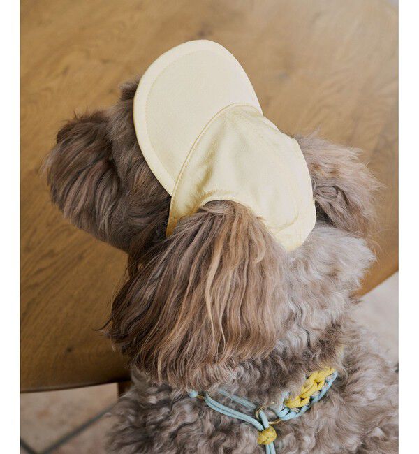 ROPE PICNIC PASSAGE「【DOG】【comif(コミフ)&times;ROPE' PICNIC】シャイニーキャップ/リンクコーデ」|その他|