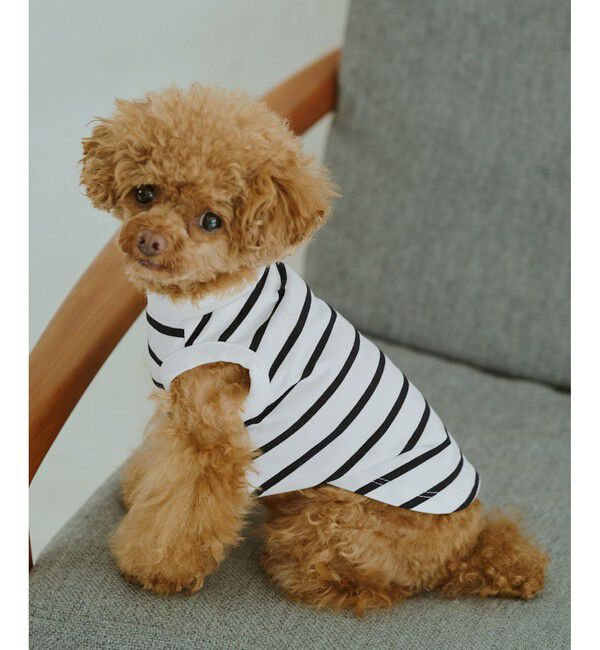 ROPE PICNIC PASSAGE「【DOG】リンクボーダータンクトップ」|その他|ブラック系(02)