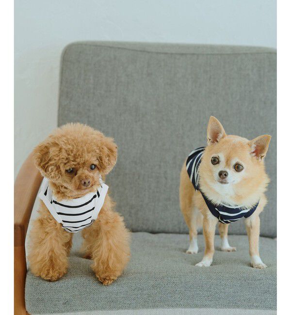 ROPE PICNIC PASSAGE「【DOG】リンクボーダータンクトップ」|その他|