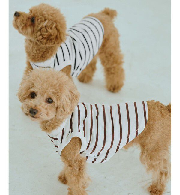 ROPE PICNIC PASSAGE「【DOG】リンクボーダータンクトップ」|その他|