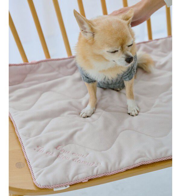 ROPE PICNIC PASSAGE「【DOG】もちもちマット」|その他|