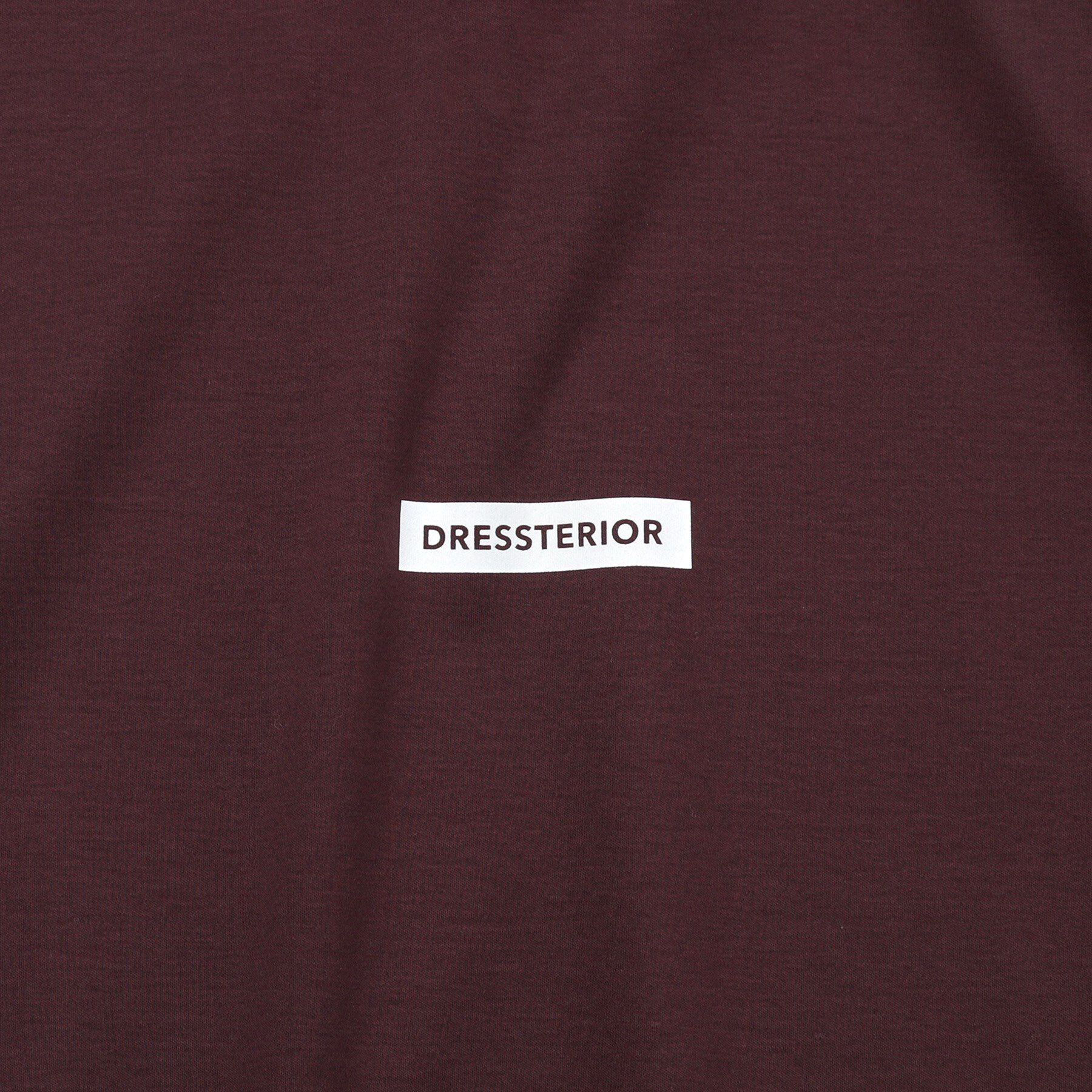 DRESSTERIOR「【接触冷感／抗菌防臭／消臭】ICE CLEAR COTTON NINEストリートTシャツ」|Tシャツ・カットソー|