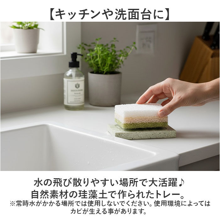 BACKYARD FAMILY「スポンジ トレー 通販 soil 珪藻土 スポンジトレー ソイル スポンジ置き スポンジトレイ」|食器・キッチングッズ|