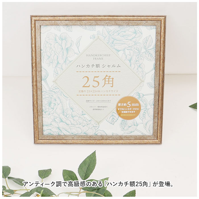 BACKYARD FAMILY「フレーム 正方形 通販 ハンカチ額 25角 額 シャルム 250 x 250mm 額縁 25cm」|その他|