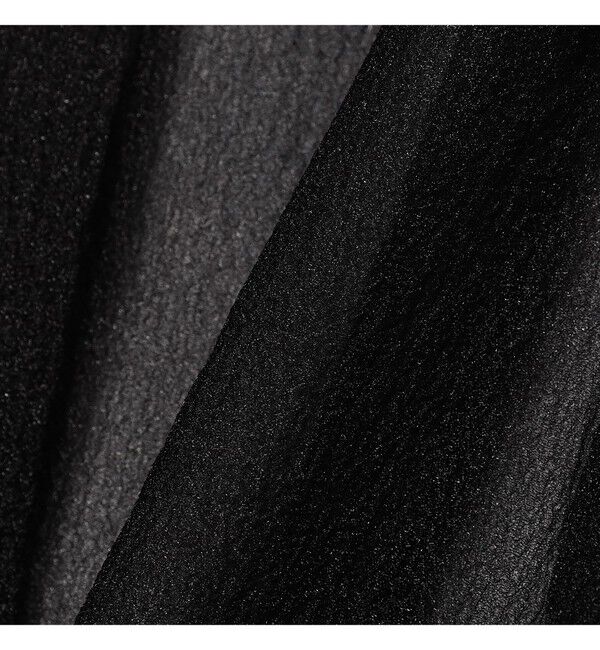 Demi-Luxe BEAMS 「BAUM UND PFERDGARTEN / ファンシー オーガンジー シャツ」|シャツ・ブラウス|