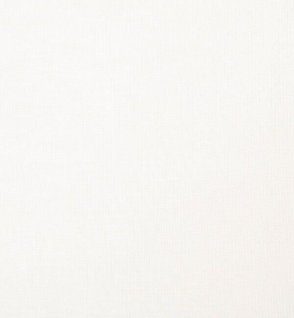 NOLLEY'S「ウォッシャブルシアーリネンカールマイヤーショートブラウス」|シャツ・ブラウス|