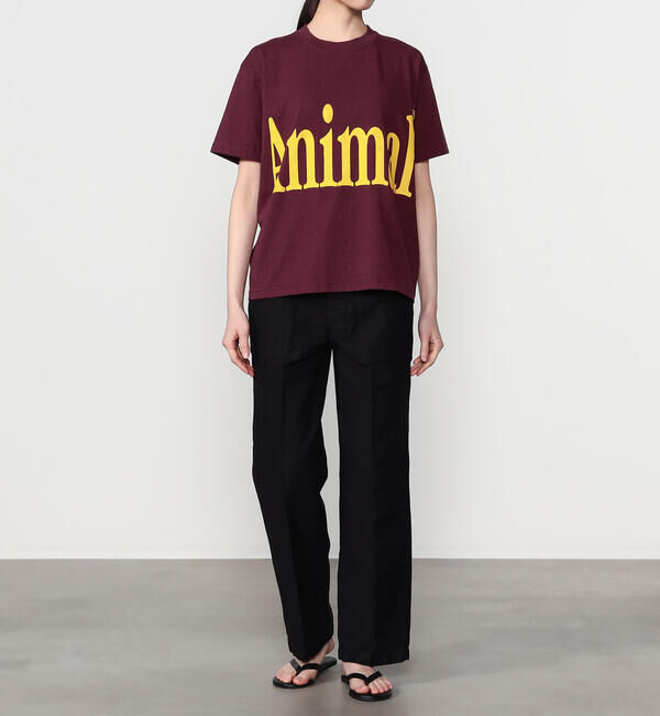  「STUDIO WEAREALLANIMALS | Animals Letter 半袖Tシャツ WOMEN」|Tシャツ・カットソー|