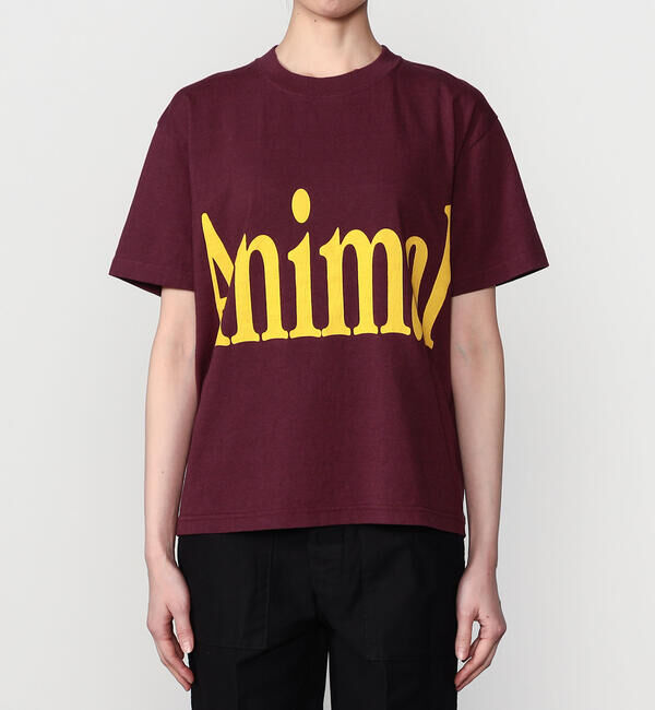  「STUDIO WEAREALLANIMALS | Animals Letter 半袖Tシャツ WOMEN」|Tシャツ・カットソー|