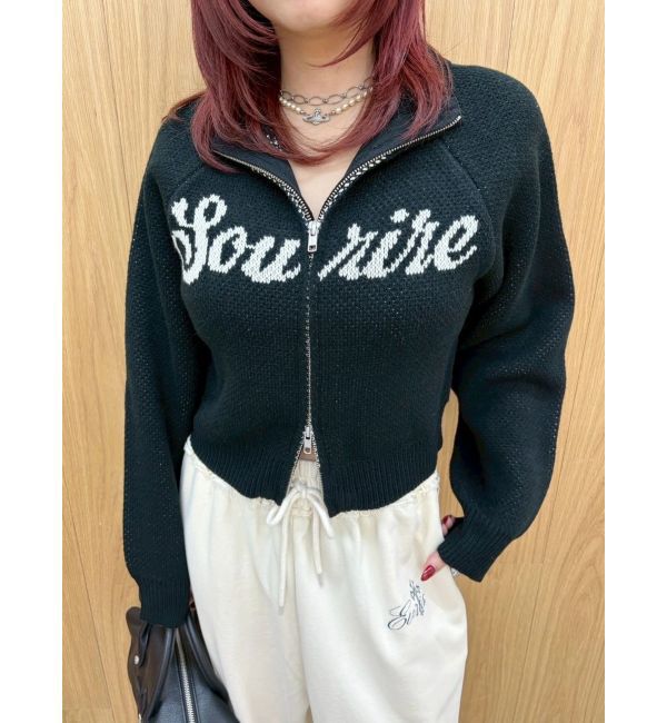 EVRIS「コンパクトジャガードニットトップス」|ニット・セーター|