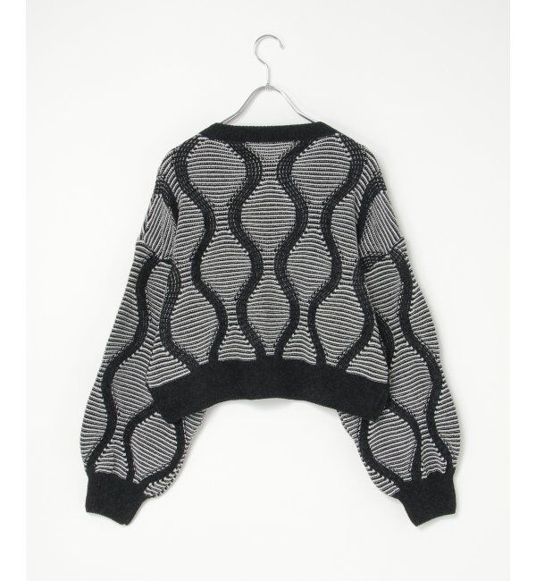 VENCE share style「5Gヒョウタン柄ジャガードプルオーバー」|ニット・セーター|