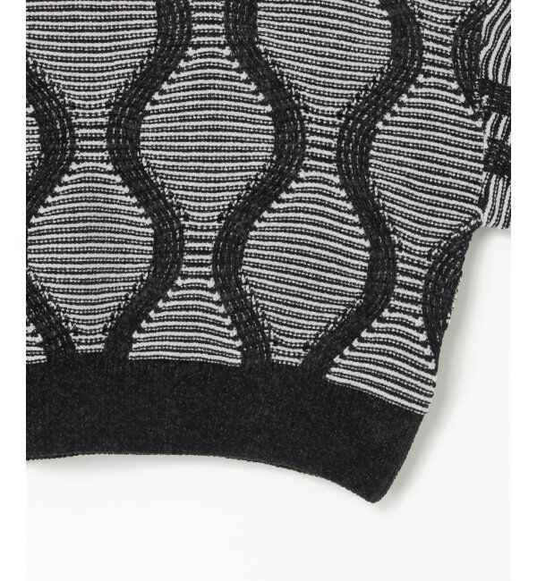 VENCE share style「5Gヒョウタン柄ジャガードプルオーバー」|ニット・セーター|