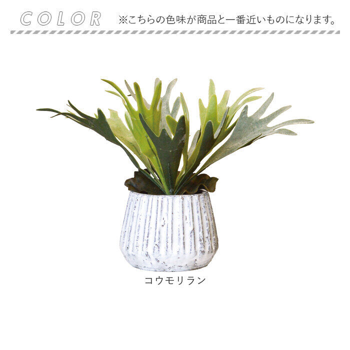 BACKYARD FAMILY「光触媒 人工観葉植物 通販 フェイクグリーン インテリアグリーン イミテーショングリーン」|その他|