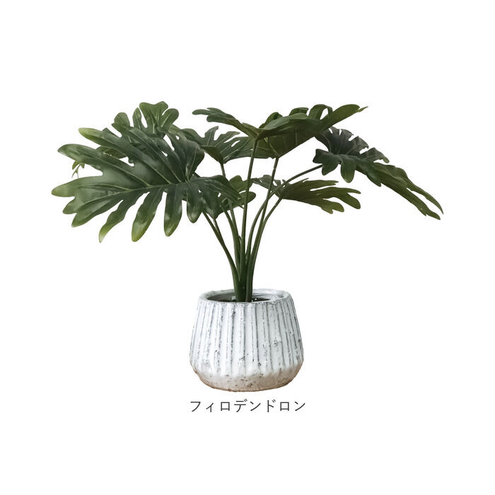 BACKYARD FAMILY「光触媒 人工観葉植物 通販 フェイクグリーン インテリアグリーン イミテーショングリーン」|その他|