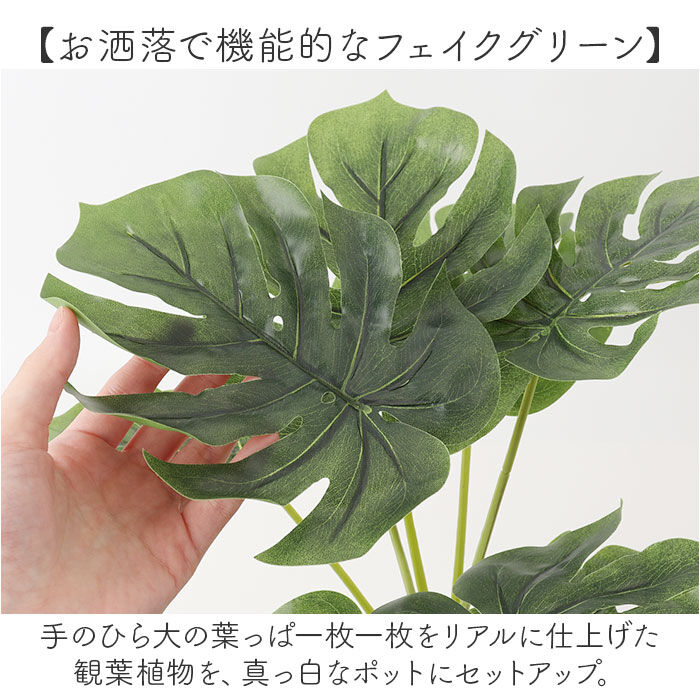 BACKYARD FAMILY「光触媒 人工観葉植物 通販 フェイクグリーン インテリアグリーン イミテーショングリーン」|その他|