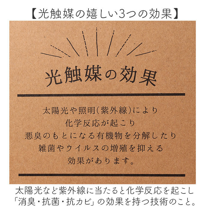 BACKYARD FAMILY「光触媒 人工観葉植物 通販 フェイクグリーン インテリアグリーン イミテーショングリーン」|その他|