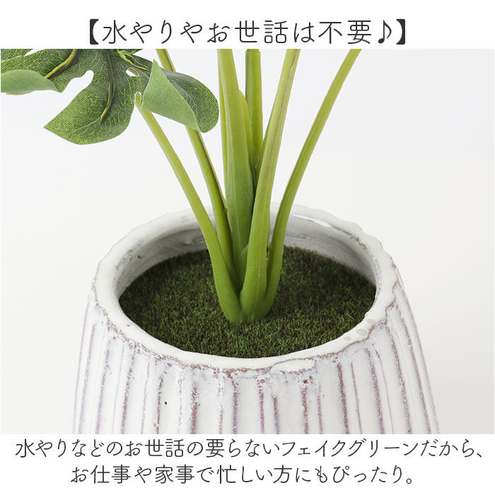 BACKYARD FAMILY「光触媒 人工観葉植物 通販 フェイクグリーン インテリアグリーン イミテーショングリーン」|その他|