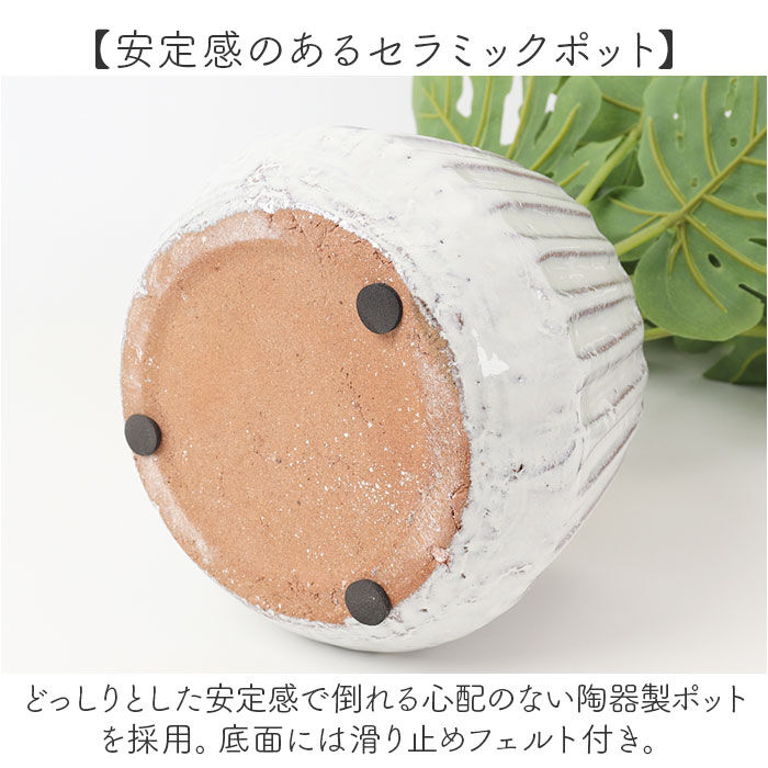 BACKYARD FAMILY「光触媒 人工観葉植物 通販 フェイクグリーン インテリアグリーン イミテーショングリーン」|その他|