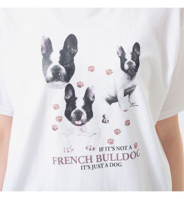 BEAMSBOY「【別注】CHED / DOG Tシャツ」|Tシャツ・カットソー|